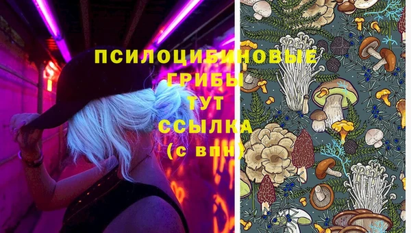 прущая мука Белокуриха