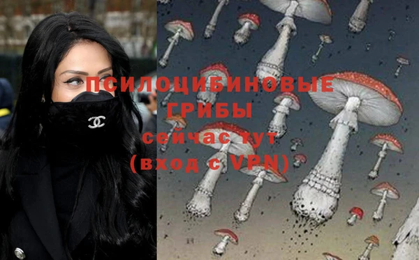 прущая мука Белокуриха