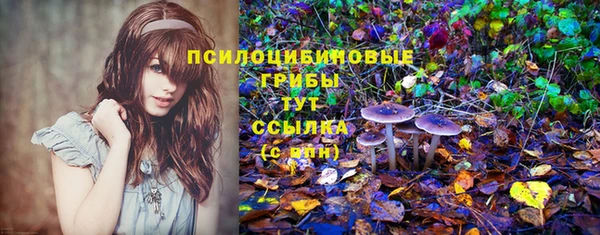 прущая мука Белокуриха
